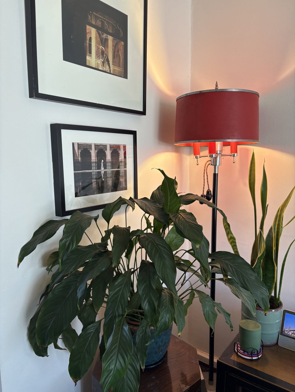 Oyster light fitted in the lounge room